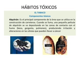 HÁBITOS TÓXICOS
EL TABACO
Componentes tóxicos
Alquitrán: Es el principal componente de la brea que se utiliza en la
construcción de carreteras. Cuando se fuma, una pequeña película
de alquitrán se va depositando en las zonas de contacto con el
humo (boca, garganta, pulmones), produciendo irritación y
alteraciones en las células que pueden llevar a cáncer
 