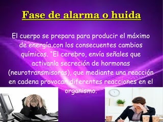 Fase de alarma o huidaFase de alarma o huida
El cuerpo se prepara para producir el máximo
de energía,con los consecuentes ...