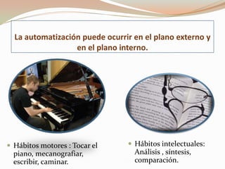 La automatización puede ocurrir en el plano externo y
en el plano interno.
 Hábitos motores : Tocar el
piano, mecanografiar,
escribir, caminar.
 Hábitos intelectuales:
Análisis , síntesis,
comparación.
 