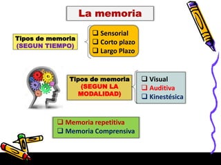 Tipos de memoria
(SEGUN TIEMPO)
 Sensorial
 Corto plazo
 Largo Plazo
Tipos de memoria
(SEGUN LA
MODALIDAD)
 Visual
 Auditiva
 Kinestésica
 Memoria repetitiva
 Memoria Comprensiva
 