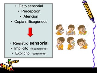 • Dato sensorial
• Percepción
• Atención
• Copia milisegundos
• Registro sensorial
• Implícito (inconsciente)
• Explícito (consciente)
 
