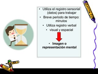• Utiliza el registro sensorial
(datos) para trabajar
• Breve período de tiempo:
minutos
• Utiliza registro verbal
• visual y espacial
• Imagen o
representación mental
 