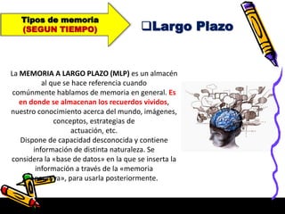 Tipos de memoria
(SEGUN TIEMPO) Largo Plazo
La MEMORIA A LARGO PLAZO (MLP) es un almacén
al que se hace referencia cuando
comúnmente hablamos de memoria en general. Es
en donde se almacenan los recuerdos vividos,
nuestro conocimiento acerca del mundo, imágenes,
conceptos, estrategias de
actuación, etc.
Dispone de capacidad desconocida y contiene
información de distinta naturaleza. Se
considera la «base de datos» en la que se inserta la
información a través de la «memoria
operativa», para usarla posteriormente.
 