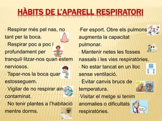 HÀBITS DE L’APARELL RESPIRATORI 
• Respirar més pel nas, no 
tant per la boca. 
• Respirar poc a poc i 
profundament per 
tranquil·litzar-nos quan estem 
nerviosos. 
• Tapar-nos la boca quan 
estosseguem. 
• Vigilar de no respirar aire 
contaminat. 
• No tenir plantes a l’habitació 
mentre dorms. 
•Fer esport. Obre els pulmons i 
augmenta la capacitat 
pulmonar. 
• Mantenir netes les fosses 
nassals i les vies respiratòries. 
• No estar tancat en un lloc 
sense ventilació. 
• Evitar canvis brucs de 
temperatura. 
•Visitar el metge si tenim 
anomalies o dificultats 
respiratòries. 
