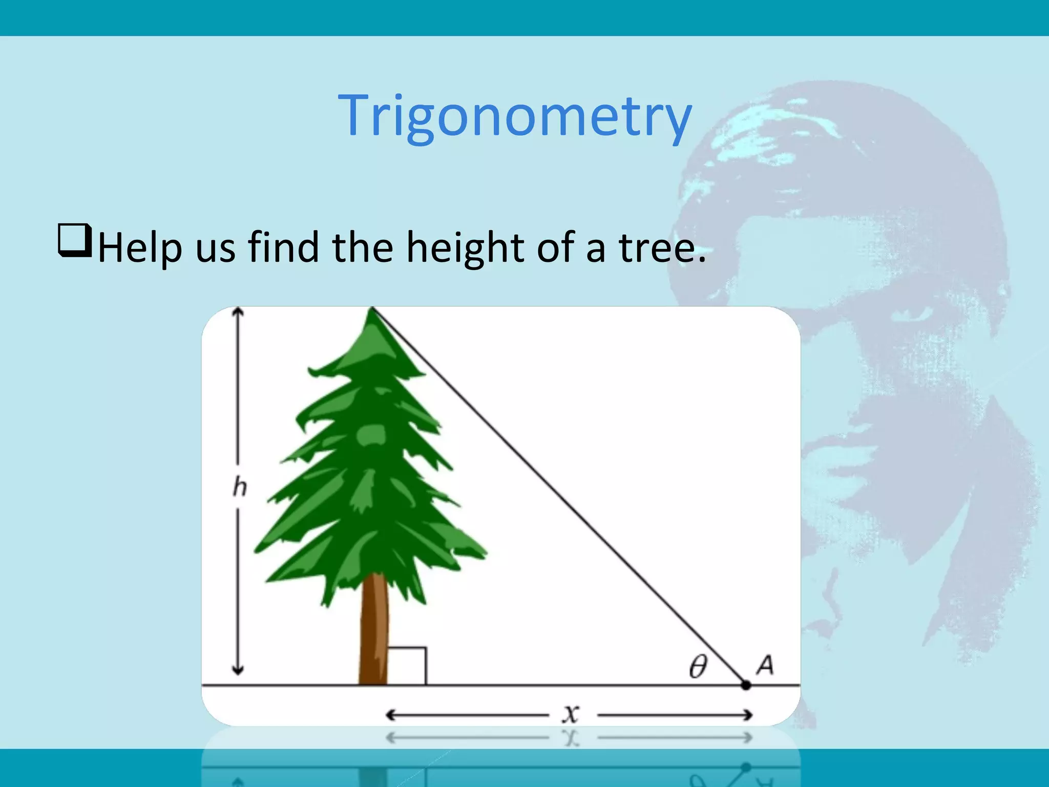 Trigonometry
Help us find the height of a tree.
 