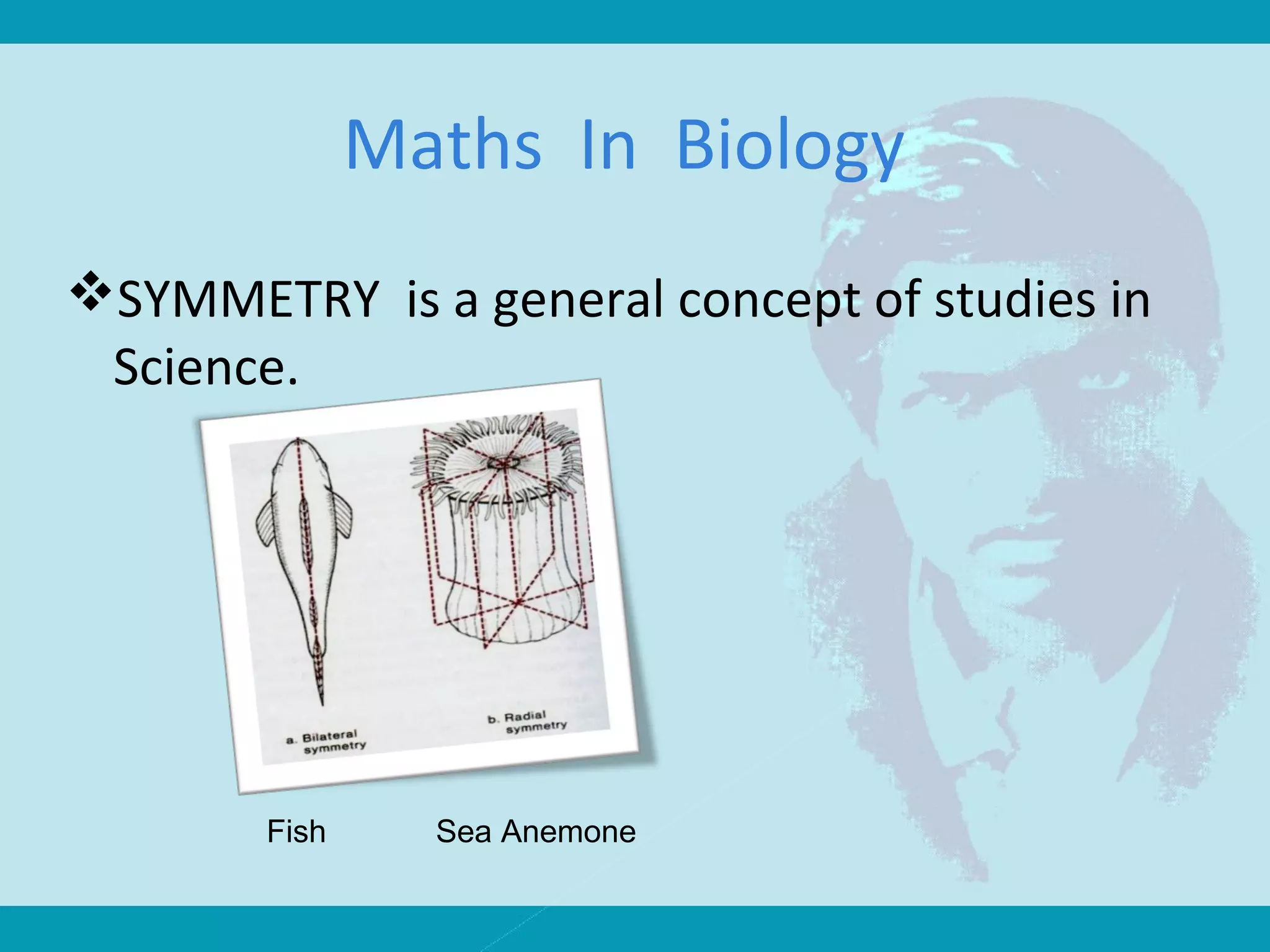 Maths In Biology
SYMMETRY is a general concept of studies in
Science.
Sea AnemoneFish
 