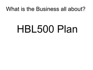 What is the Business all about?  HBL500 Plan 