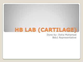 HB LAB (CARTILAGE) Done by: Doha Mohamed Bds1 Representative 