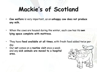 Mackie’s of Scotland Cow welfare  is very important, as an  unhappy cow does not produce any milk.  When the cows are housed during the winter, each cow has its  own lying space complete with mattress . They have  feed available at all times , with fresh food added twice per day. Our  vet  comes on a  routine visit  once a week and any  sick animals are moved to a hospital area. 