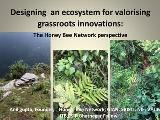 Anil gupta, Founder, Honey Bee Network, GIAN, SRISTI, NIF; VF IIM
IITB,CSIR Bhatnagar Fellow
Designing an ecosystem for valorising
grassroots innovations:
The Honey Bee Network perspective
 