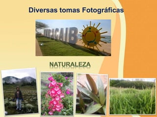 Diversas tomas Fotográficas
 