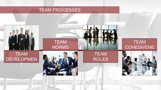 TEAM PROCESSES 
TEAM 
DEVELOPMEN 
T 
TEAM 
NORMS 
TEAM 
ROLES 
TEAM 
COHESIVENE 
SS 
 