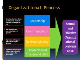 Organizational Process
 