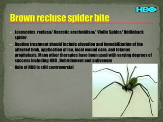  Loxosceles reclusa/ Necrotic arachnidism/ Violin Spider/ fiddleback

spider
 Routine treatment should include elevation and immobilization of the
affected limb, application of ice, local wound care, and tetanus
prophylaxis. Many other therapies have been used with varying degrees of
success including HBO , Debridement and antivenom
 Role of HBO is still controversial

 