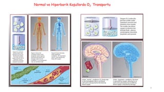 Normal ve Hiperbarik Koşullarda O2 Transportu
8
 