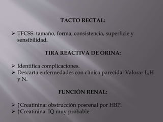 TACTO RECTAL:
 TFCSS: tamaño, forma, consistencia, superficie y
sensibilidad.
TIRA REACTIVA DE ORINA:
 Identifica complicaciones.
 Descarta enfermedades con clínica parecida: Valorar L,H
y N.
FUNCIÓN RENAL:
 ↑Creatinina: obstrucción posrenal por HBP.
 ↑Creatinina: IQ muy probable.
 