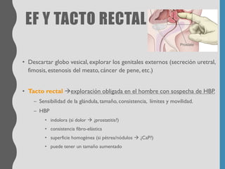 EF Y TACTO RECTAL
• Descartar globo vesical, explorar los genitales externos (secreción uretral,
fimosis, estenosis del meato, cáncer de pene, etc.)
• Tacto rectal →exploración obligada en el hombre con sospecha de HBP.
– Sensibilidad de la glándula, tamaño, consistencia, límites y movilidad.
– HBP
• indolora (si dolor → ¿prostatitis?)
• consistencia fibro-elástica
• superficie homogénea (si pétrea/nódulos → ¿CaP?)
• puede tener un tamaño aumentado
 