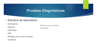 Pruebas Diagnósticas
 Estudios de laboratiorio
• Hemograma
• Glicemia
• Electrolitos
• PSA
• Nitrógeno de la urea en sangre
• Creatinina
 