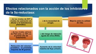 Efectos relacionados con la acción de los inhibidores
de la 5α-reductasa:
↓ de los niveles de DHT a
niveles de castración sin
afectar a la testosterona
plasmática.
↓ de los niveles séricos
de PSA total, un 50% en
el primer año de
tratamiento.
Reducción del volumen
prostático, en próstatas
mayores de 40 gramos.
Aumento de la velocidad
máxima de flujo urinario.
↓ del riesgo de retención
aguda de orina (RAO).
↓ de la necesidad de
cirugía.
Mejoría sobre la calidad
de vida.
 