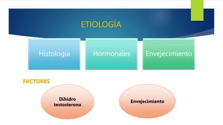 ETIOLOGÍA
Histología Hormonales Envejecimiento
FACTORES
Dihidro
testosterona
Envejecimiento
 