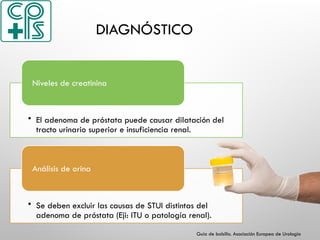 DIAGNÓSTICO
• El adenoma de próstata puede causar dilatación del
tracto urinario superior e insuficiencia renal.
Niveles de creatinina
• Se deben excluir las causas de STUI distintas del
adenoma de próstata (Eji: ITU o patología renal).
Análisis de orina
Guía de bolsillo. Asociación Europea de Urología
 
