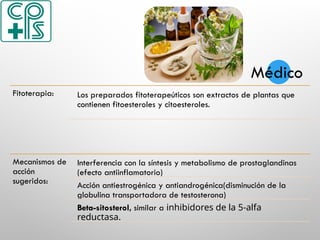 TRATAMIENTO
Fitoterapia: Los preparados fitoterapeúticos son extractos de plantas que
contienen fitoesteroles y citoesteroles.
Mecanismos de
acción
sugeridos:
Interferencia con la síntesis y metabolismo de prostaglandinas
(efecto antiinflamatorio)
Acción antiestrogénica y antiandrogénica(disminución de la
globulina transportadora de testosterona)
Beta-sitosterol, similar a inhibidores de la 5-alfa
reductasa.
Médico
 