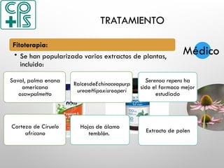 TRATAMIENTO
Fitoterapia:
• Se han popularizado varios extractos de plantas,
incluido:
Médico
Saval, palma enana
americana
osawpalmetto
Corteza de Ciruelo
africano
RaicesdeEchinaceapurp
ureaeHipoxisrooperi
Extracto de polen
Hojas de álamo
temblón.
Serenoa repens ha
sido el farmaco mejor
estudiado
 