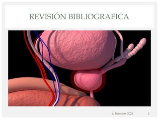 REVISIÓN BIBLIOGRAFICA
JJ Blanquer 2025 2
 