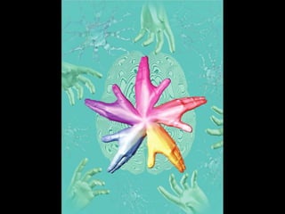 Hbr 0908