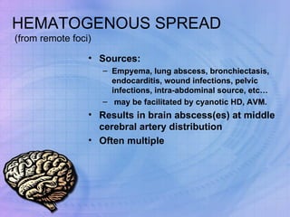 HEMATOGENOUS SPREAD  (from remote foci) Sources: Empyema, lung abscess, bronchiectasis, endocarditis, wound infections, pelvic infections, intra-abdominal source, etc… may be facilitated by cyanotic HD, AVM. Results in brain abscess(es) at middle cerebral artery distribution Often multiple  