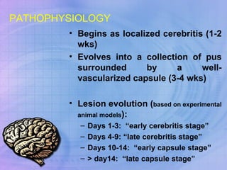 PATHOPHYSIOLOGY Begins as localized cerebritis (1-2 wks) Evolves into a collection of pus surrounded by a well-vascularized capsule (3-4 wks) Lesion evolution ( based on experimental animal models ): Days 1-3:  “early cerebritis stage” Days 4-9: “late cerebritis stage” Days 10-14:  “early capsule stage” > day14:  “late capsule stage” 