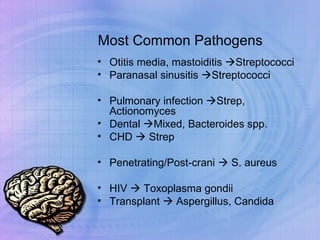 Most Common Pathogens Otitis media, mastoiditis   Streptococci Paranasal sinusitis   Streptococci Pulmonary infection   Strep, Actionomyces Dental   Mixed, Bacteroides spp. CHD    Strep Penetrating/Post-crani    S. aureus HIV    Toxoplasma gondii Transplant    Aspergillus, Candida 