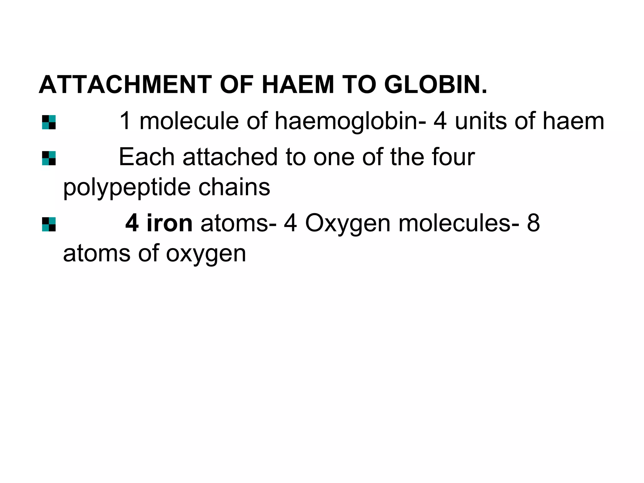 ATTACHMENT OF HAEM TO GLOBIN.
1 molecule of haemoglobin- 4 units of haem
Each attached to one of the four
polypeptide chains
4 iron atoms- 4 Oxygen molecules- 8
atoms of oxygen
 