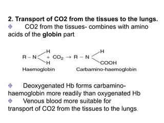 Deoxygenated Hb forms carbamino-
haemoglobin more readily than oxygenated Hb
Venous blood more suitable for
transport of CO2 from the tissues to the lungs.
2. Transport of CO2 from the tissues to the lungs.
CO2 from the tissues- combines with amino
acids of the globin part
 
