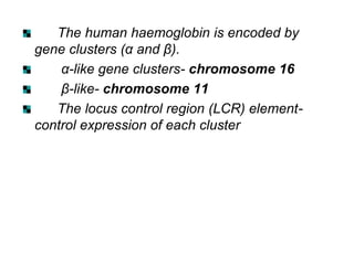 The human haemoglobin is encoded by
gene clusters (α and β).
α-like gene clusters- chromosome 16
β-like- chromosome 11
The locus control region (LCR) element-
control expression of each cluster
 