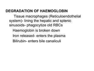 DEGRADATION OF HAEMOGLOBIN
Tissue macrophages (Reticuloendothelial
system)- lining the hepatic and splenic
sinusoids- phagocytize old RBCs
Haemoglobin is broken down
Iron released- enters the plasma
Bilirubin- enters bile canaliculi
 