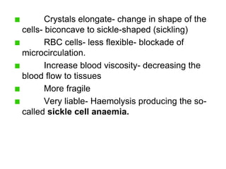 Crystals elongate- change in shape of the
cells- biconcave to sickle-shaped (sickling)
RBC cells- less flexible- blockade of
microcirculation.
Increase blood viscosity- decreasing the
blood flow to tissues
More fragile
Very liable- Haemolysis producing the so-
called sickle cell anaemia.
 