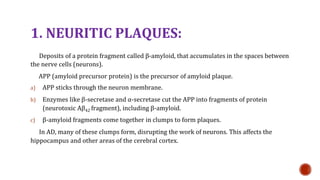 1. NEURITIC PLAQUES:
Deposits of a protein fragment called -amyloid, that accumulates in the spaces between
the nerve cells (neurons).
APP (amyloid precursor protein) is the precursor of amyloid plaque.
a) APP sticks through the neuron membrane.
b) Enzymes like -secretase and -secretase cut the APP into fragments of protein
(neurotoxic A42 fragment), including -amyloid.
c) -amyloid fragments come together in clumps to form plaques.
In AD, many of these clumps form, disrupting the work of neurons. This affects the
hippocampus and other areas of the cerebral cortex.
 