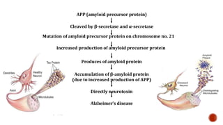 APP (amyloid precursor protein)
Cleaved by -secretase and -secretase
Mutation of amyloid precursor protein on chromosome no. 21
Increased production of amyloid precursor protein
Produces of amyloid protein
Accumulation of -amyloid protein
(due to increased production of APP)
Directly neurotoxin
Alzheimers disease
 