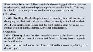 • Sustainable Practices: Follow sustainable harvesting guidelines to prevent
overharvesting and ensure the plant population remains healthy. This may
involve leaving some plants to seed or rotating harvesting areas.
3. Handling
• Gentle Handling: Handle the plant material carefully to avoid bruising or
damaging the plant parts, which can affect the quality of the final product.
• Avoid Contamination: Ensure that the plant material does not come into
contact with pollutants, chemicals, or other contaminants.
4. Cleaning
• Initial Cleaning: Rinse the plant material to remove dirt, insects, or other
debris. For delicate parts like leaves and flowers, this may involve a gentle
wash with water.
• Inspection: Sort and inspect the cleaned material to remove any damaged or
diseased parts.
 