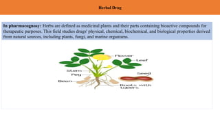 Herbal Drug
In pharmacognosy: Herbs are defined as medicinal plants and their parts containing bioactive compounds for
therapeutic purposes. This field studies drugs' physical, chemical, biochemical, and biological properties derived
from natural sources, including plants, fungi, and marine organisms.
 