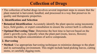 Collection of Drugs
• The collection of herbal drugs involves several important steps to ensure that the
plant material is harvested, handled, and processed in a way that preserves its
quality and therapeutic properties.
1. Identification and Selection
• Botanical Identification: Accurately identify the plant species using taxonomic
keys, field guides, or expert consultation to ensure the correct herb is collected.
• Optimal Harvesting Time: Determine the best time to harvest based on the
plant’s growth cycle, typically when the plant part (roots, leaves, flowers)
contains the highest concentration of active compounds.
2. Harvesting
• Method: Use appropriate harvesting techniques to minimize damage to the plant
and its surrounding environment. This might include hand-picking leaves, cutting
stems, or carefully digging roots.
 