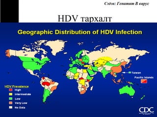 HDV тархалт 
 