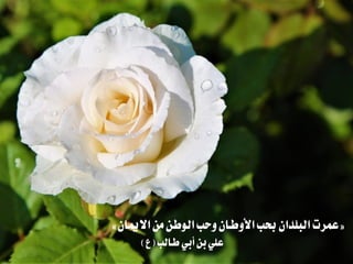 «‫االميان‬‫من‬‫الوطن‬‫وحب‬‫األوطان‬‫حبب‬‫البلدان‬‫عمرت‬»
‫طالب‬‫أبي‬‫بن‬‫علي‬(‫ع‬)
 