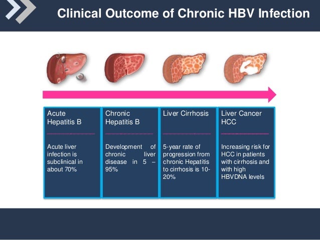 HBV - HBV - JapaneseClass.jp