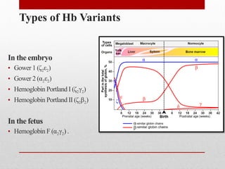Type 2 Hb Hemoglobin (Hb) variants - Structure and Functions | PPTX