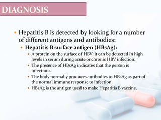  Hepatitis B is detected by looking for a number
of different antigens and antibodies:
 Hepatitis B surface antigen (HBsAg):
 A protein on the surface of HBV; it can be detected in high
levels in serum during acute or chronic HBV infection.
 The presence of HBsAg indicates that the person is
infectious.
 The body normally produces antibodies to HBsAg as part of
the normal immune response to infection.
 HBsAg is the antigen used to make Hepatitis B vaccine.
 