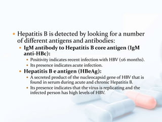 Hepatitis B is detected by looking for a number
of different antigens and antibodies:
 IgM antibody to Hepatitis B core antigen (IgM
anti-HBc):
 Positivity indicates recent infection with HBV (≤6 months).
 Its presence indicates acute infection.
 Hepatitis B e antigen (HBeAg):
 A secreted product of the nucleocapsid gene of HBV that is
found in serum during acute and chronic Hepatitis B.
 Its presence indicates that the virus is replicating and the
infected person has high levels of HBV.
 