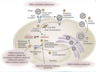 Source: Nature Reviews Gastroenterology & Hepatology 8, 69-71 (February 2011)
 