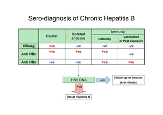 HBV Diagnosis & Classification | PDF